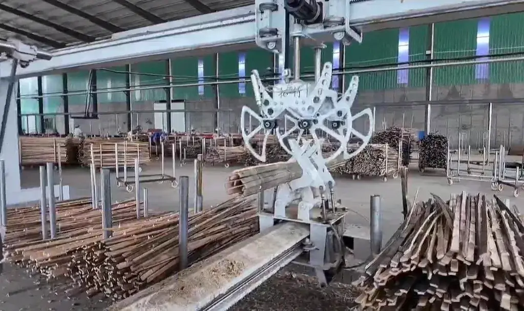 Bamboo culms being fed through a radial splitting machine on the factory floor