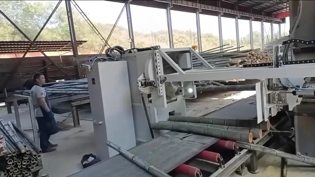 Harvested bamboo culms staged on the automatic infeed conveyor at the mill